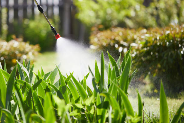 24/7 Emergency Mosquito Control experts in Norfolk, NE