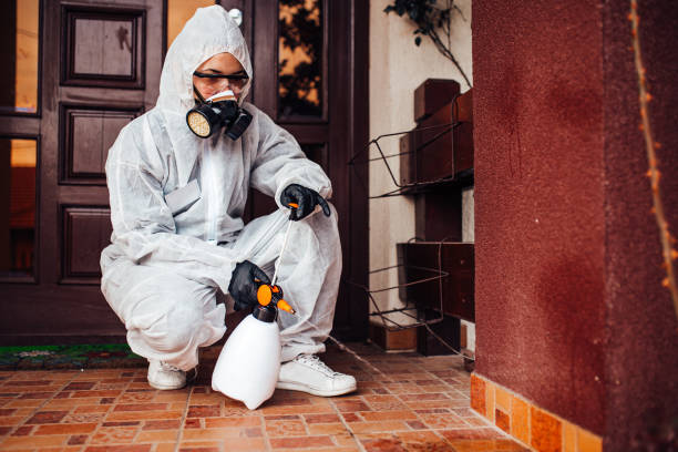 Reliable Mosquito Control contractor in Norfolk, NE by Show Me Pest Control
